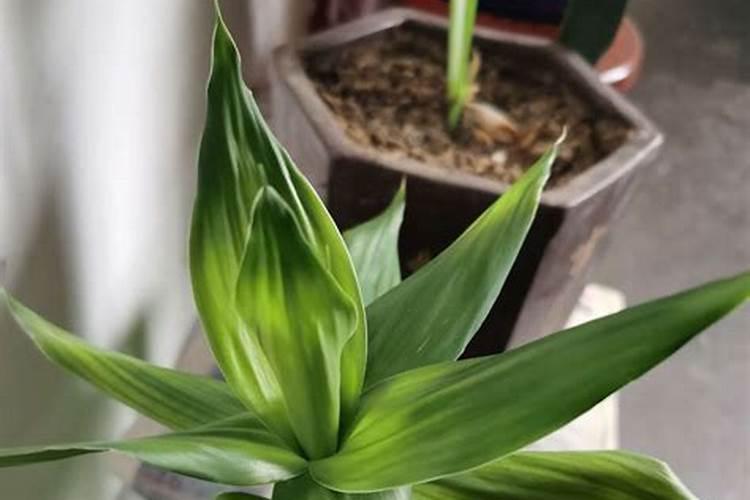 青岛田百利肥业有限公司怎么样？