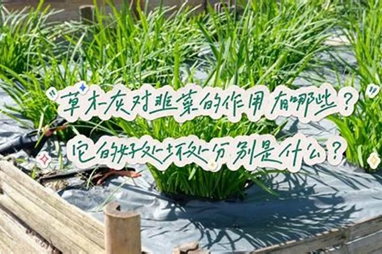 钙镁硼锌铁叶面肥啥时用最好