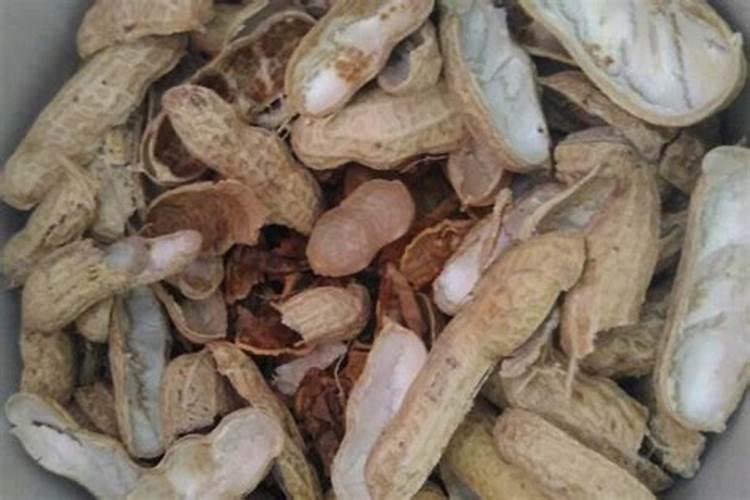 硫和硼可以反应吗