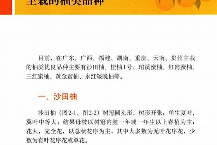 茶叶用什么肥料好？