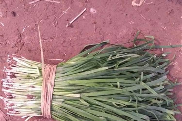 ...是什么？纯硫基的复合肥和硫酸钾型的复合肥有什么区别？二者各用的是...