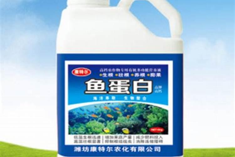 鱼蛋白自制配方比例