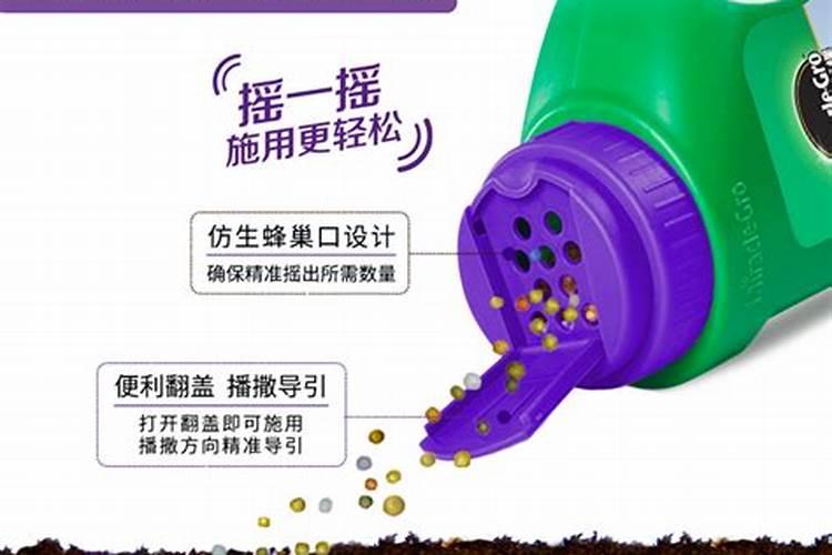 太阳花为什么不能用营养土