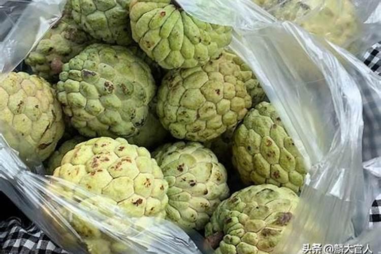 娃娃菜后期怎么施肥？