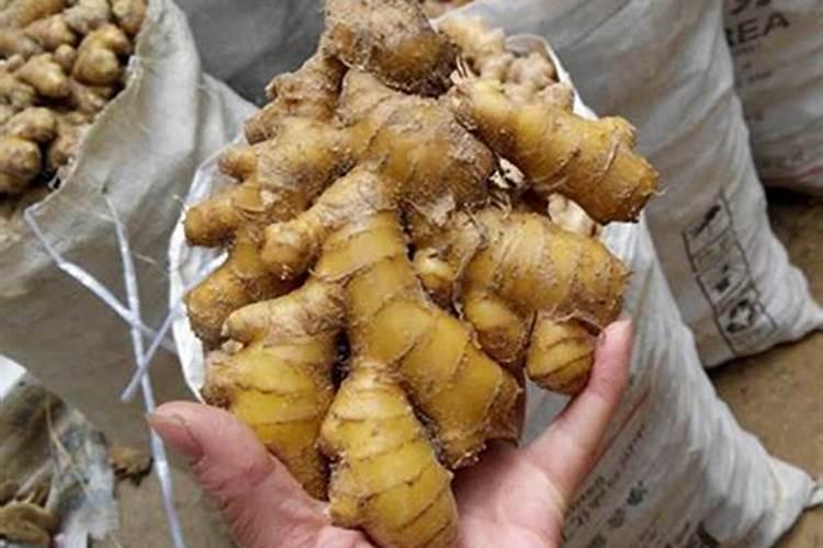 大姜第一次施什么肥