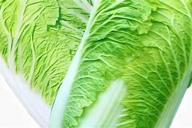 草木灰与尿素能否混用