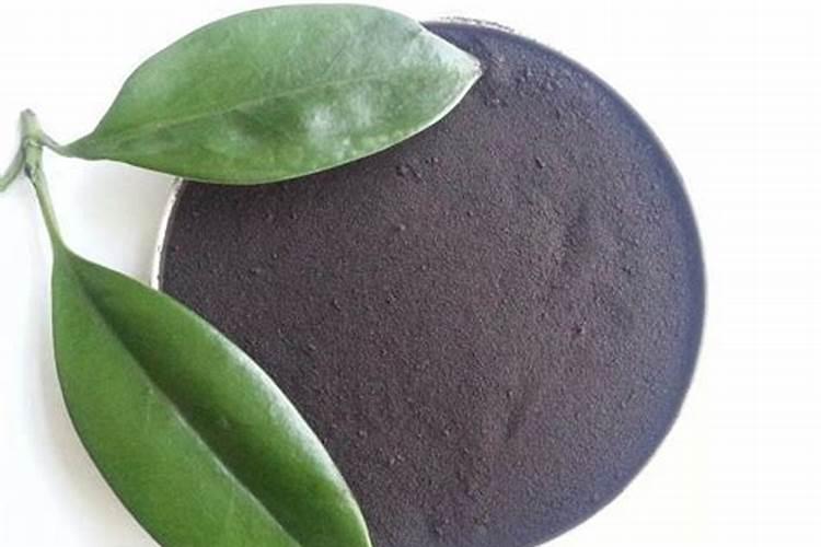 哪些植物可以做绿肥