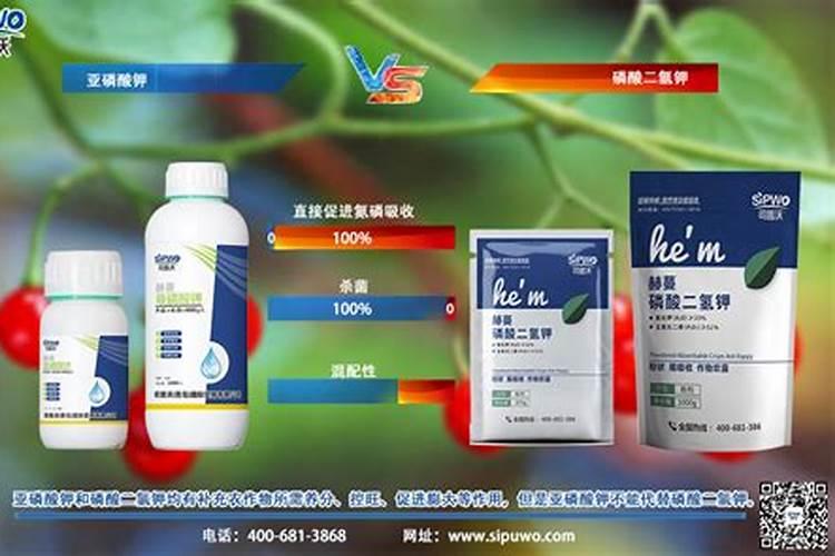 “磷”中贵族——亚磷酸钾,亦药亦肥,效用超乎想象!