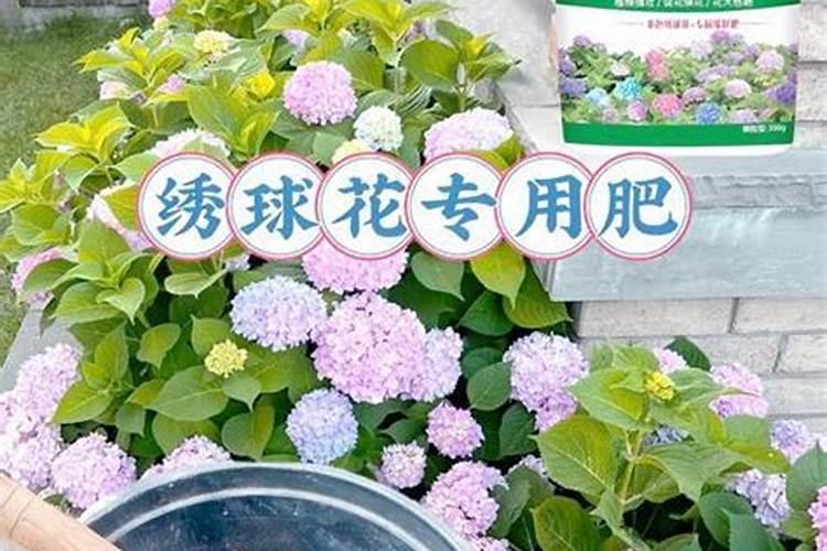 氮磷钾复合肥什么花都可以用吗