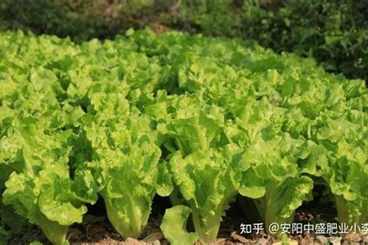 大豆种植技术与管理,需做好6步,简单实用高产种植技术