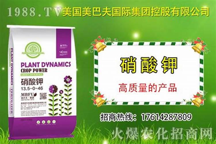 硝酸磷肥和硝铵磷肥哪个贵