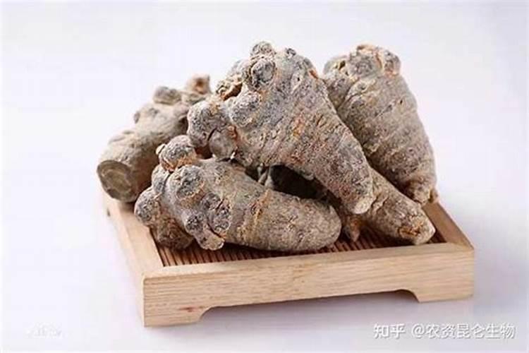 富贵竹泡生根粉泡几天