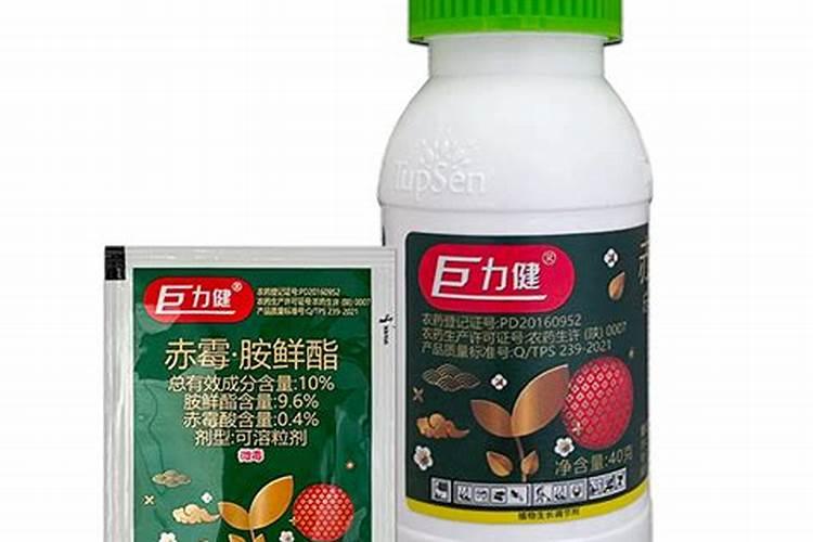 芹菜的用肥方法