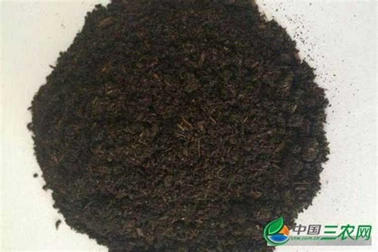 水蜜桃施肥时间