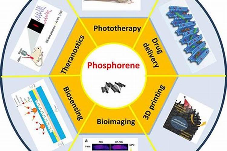 磷肥含磷量是多少