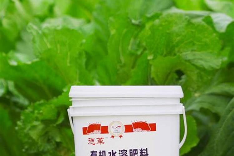 大豆什么时间施肥最好