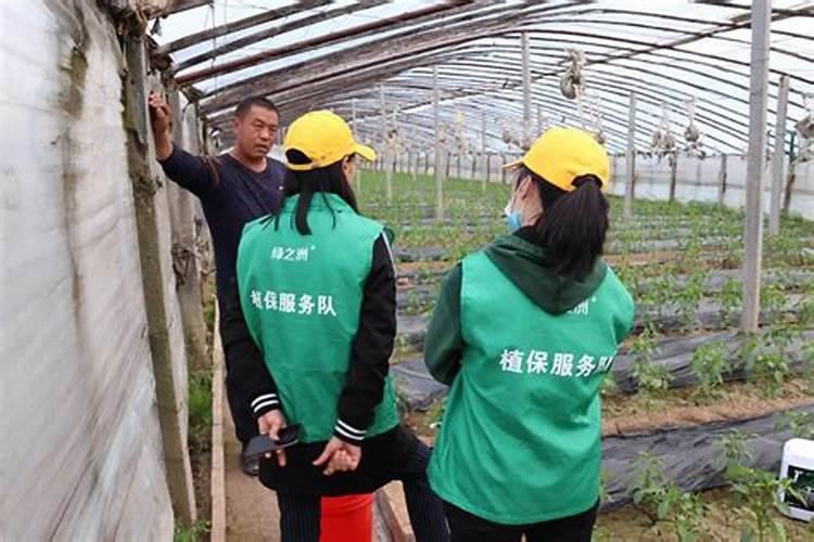 大量元素水溶肥可以和复合肥一起冲吗