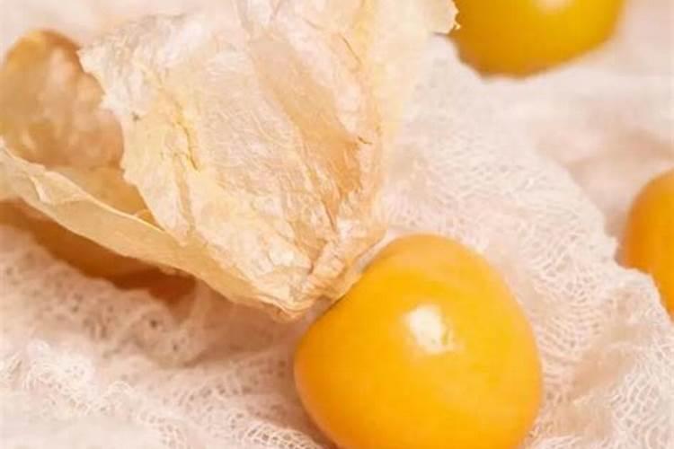 姑娘果种植时间和方法