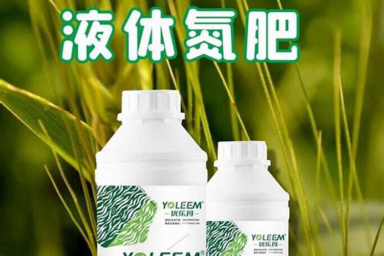 叶绿素的作用与功效