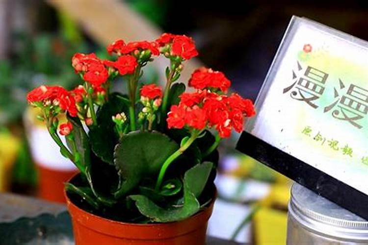 上海新国际博览中心附近酒店