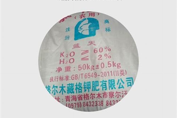 藏格矿业主要矿产资源储量排名如何？