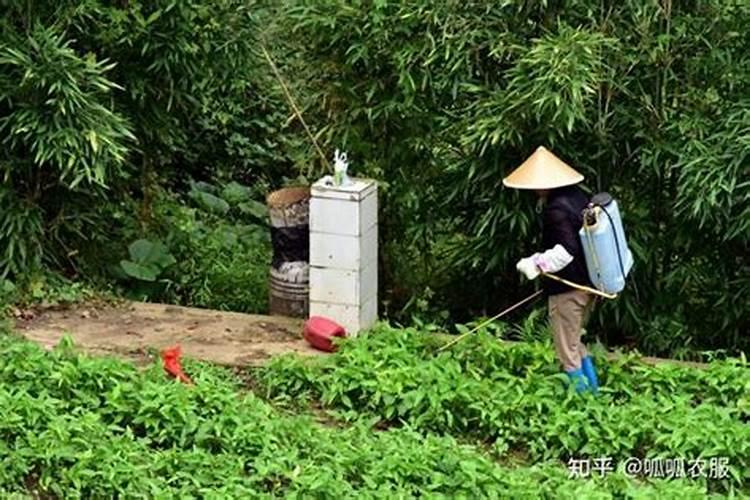 惠州百菇园生物科技有限公司怎么样？