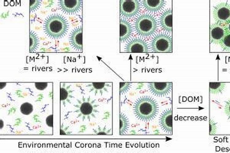 长寿花只长叶子不开花怎么办,教你五招让它爆盆