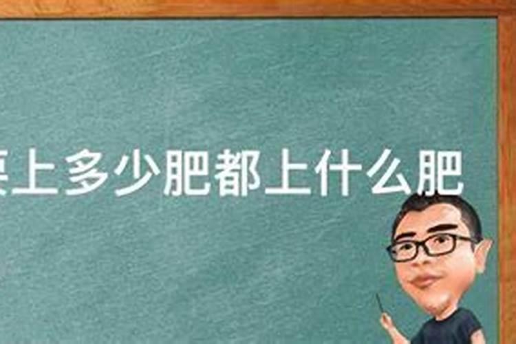 一亩大豆需要施多少化肥