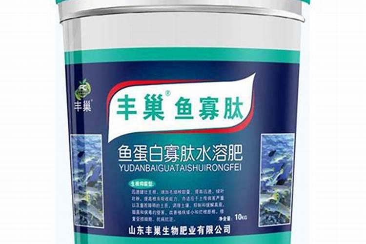 早冬茶花五首古诗鉴赏(春色初回垄上茶,嫩容白玉沁梨花)