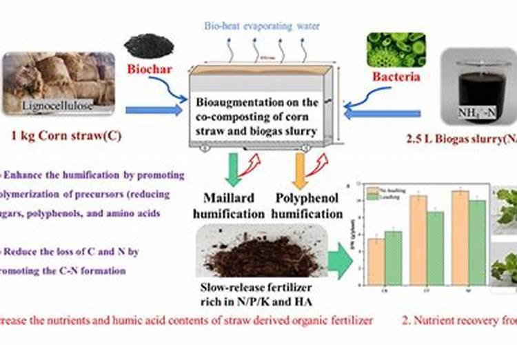 种的白菜不包心怎么办