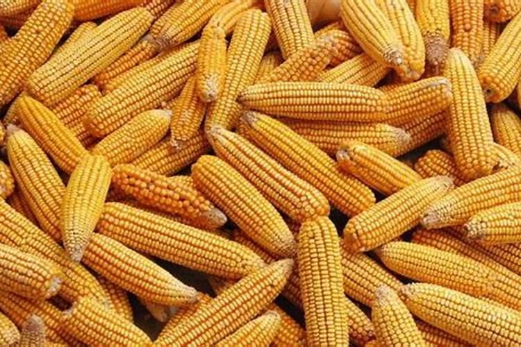 国家禁止肥料添加的激素