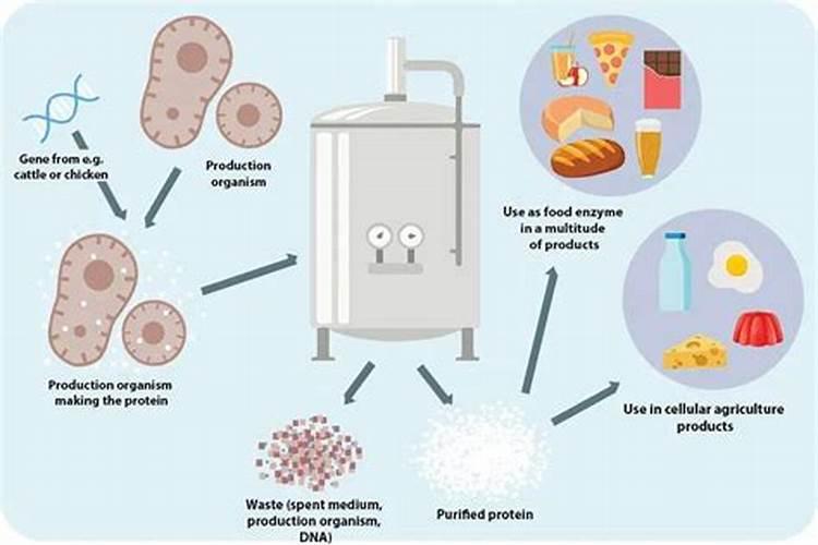 鱼内脏发酵后能交什么花