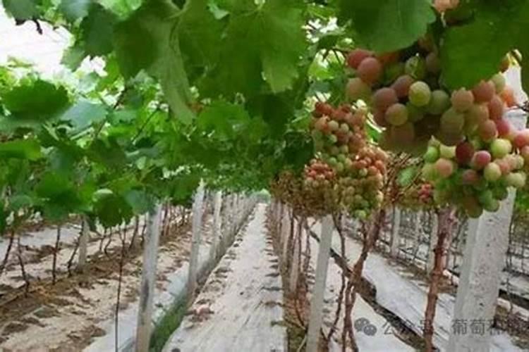 武汉有那些批发市场