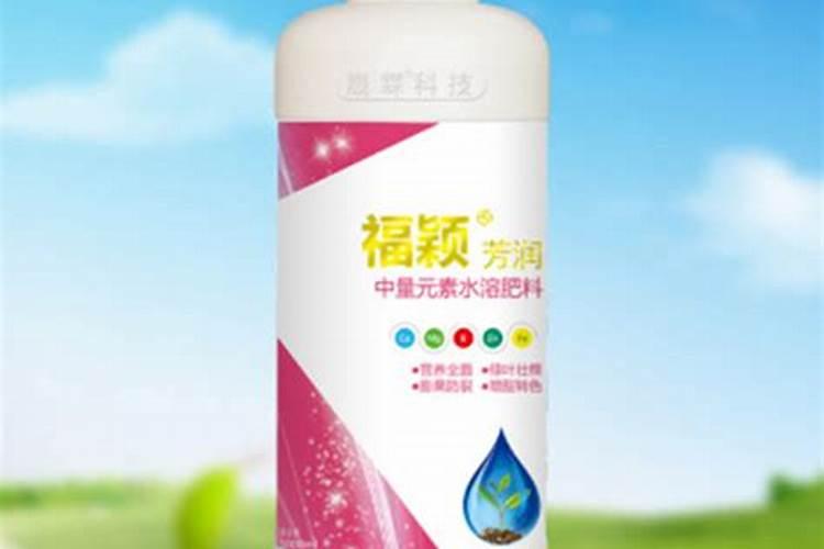 茶叶冬肥什么时间最好？