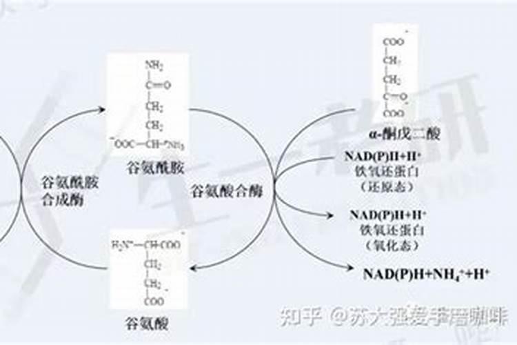 筒述黄腐酸钾工艺流程及指标控制