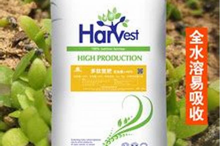 复合肥化成水可以浇菜吗