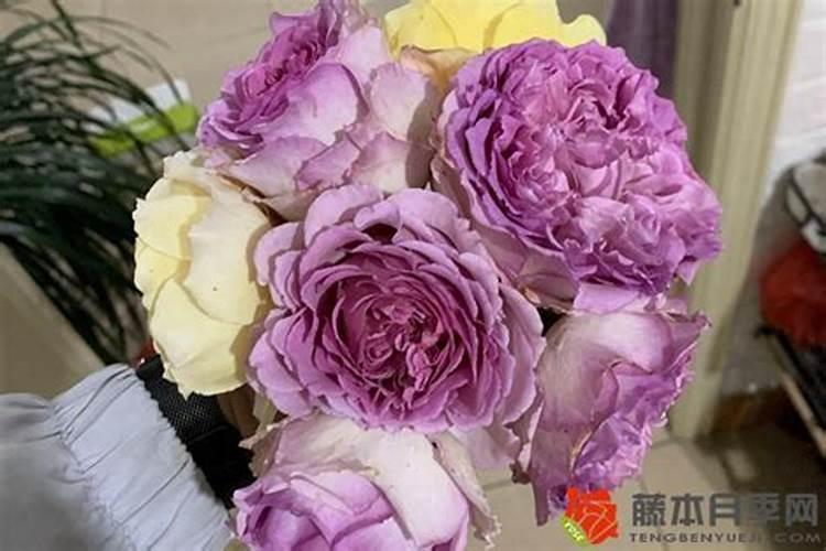 新房装修后要找哪个公司做室内甲醛检测？