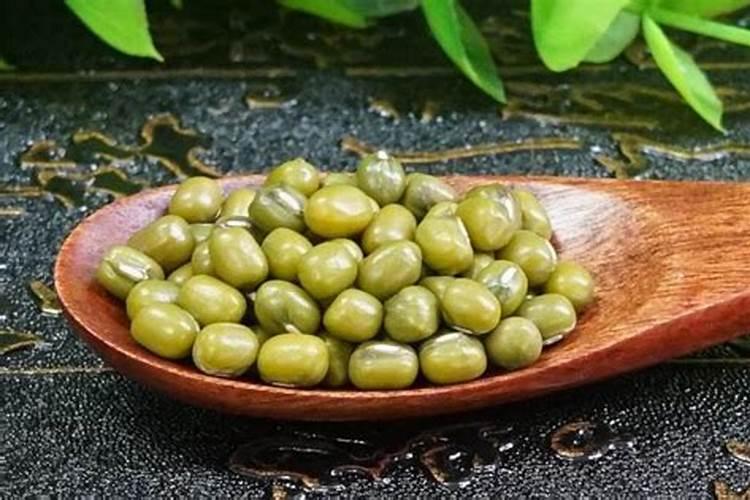 种绿豆用什么肥料好 施肥方法有哪些