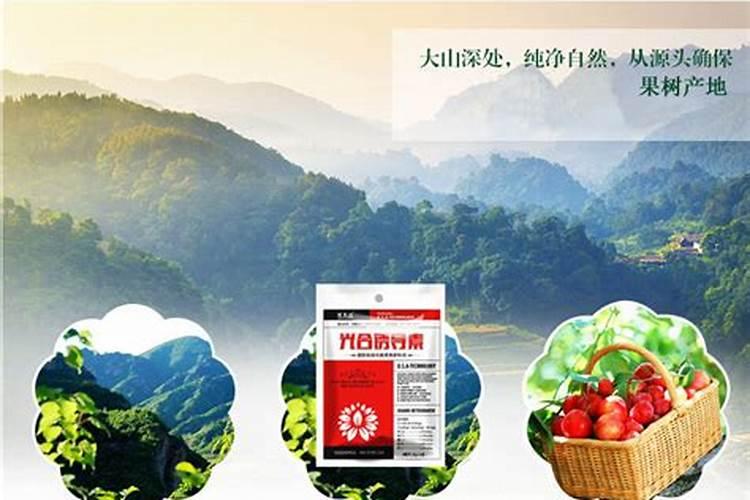 葡萄施钾效果好