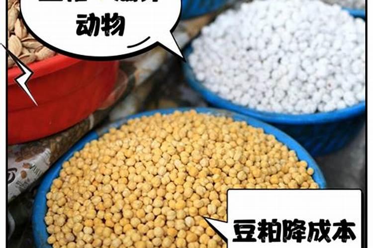 豆渣沤肥怎么才能不臭