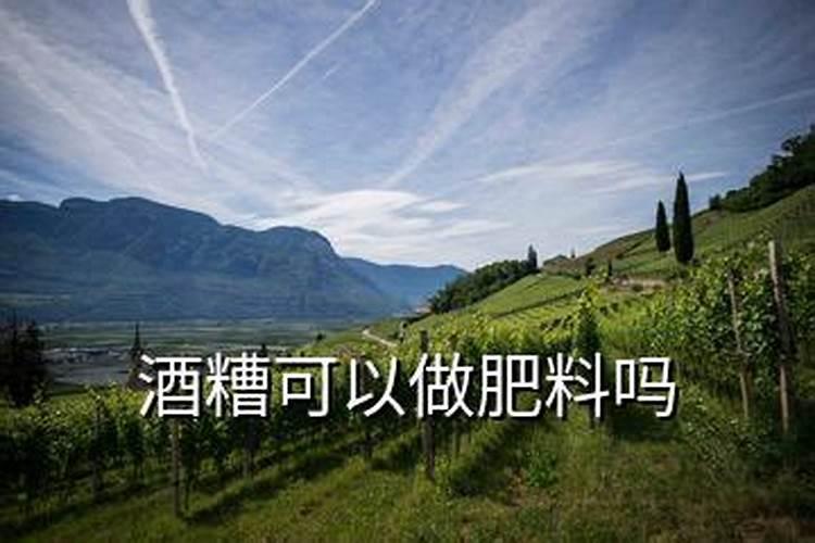 白酒兑水可以浇植物根部吗？