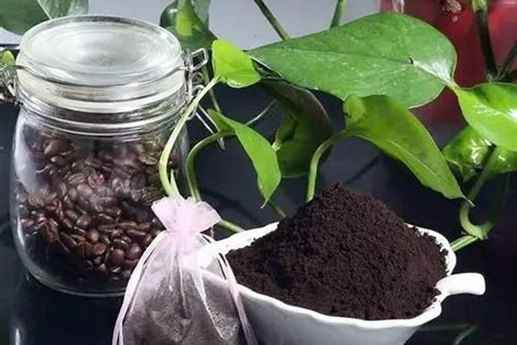 泡过酒的东西是否能够当作肥料？