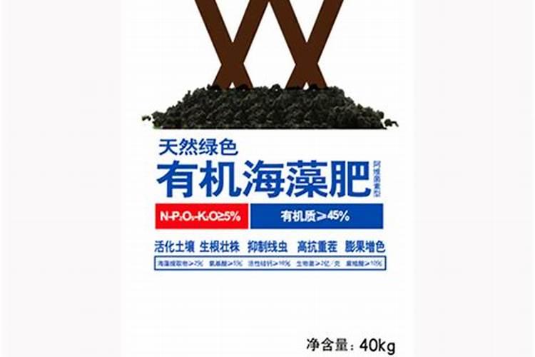 茴香要怎么种？茴香的种植技术