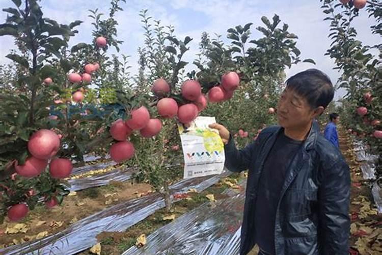 尿素受什么影响