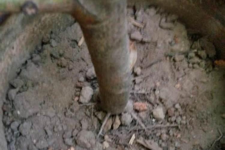 磷钾肥和磷酸二氢钾有什么区别