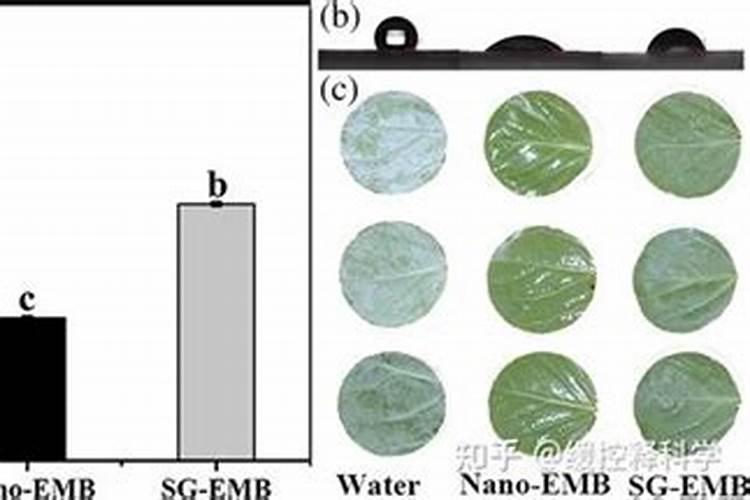 云苔素内脂与甲维盐对在一起用吗？