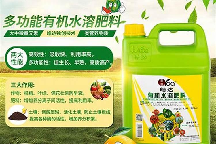 幼苗花椒树施什么肥