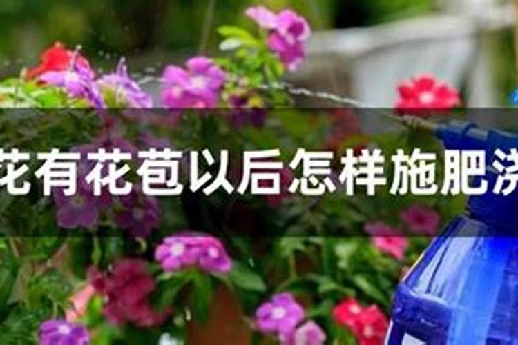 碳酶海藻鱼蛋白什么时候使用最好