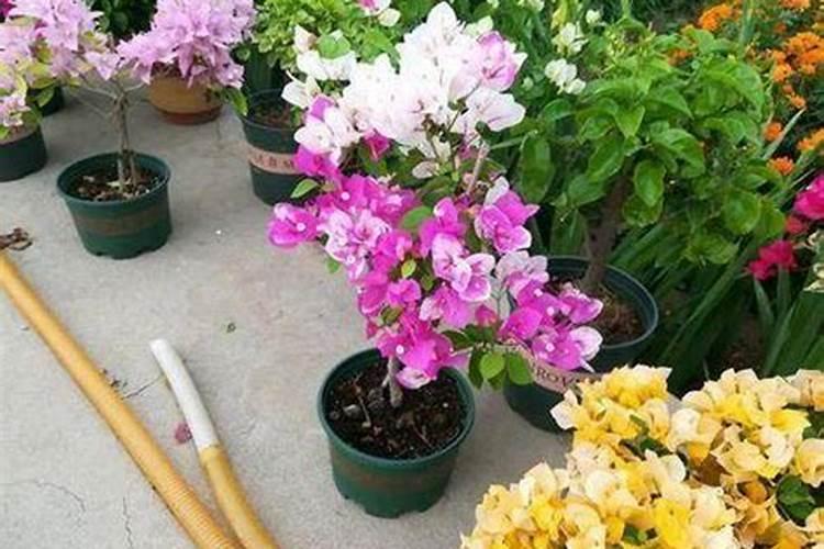 硝基复合肥使用方法