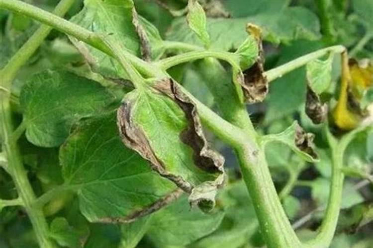 帮寻找GB/T142082009 ,GB/T2242009, GB/T2222006 标准？